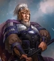 蜀汉最后的战争机器带你认识三国后期姜维北伐时的蜀汉五大名将4