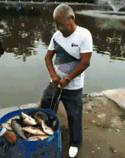 老丈人|【笑话】：老丈人太过份，处处给我下套，不反击一下是不行了！