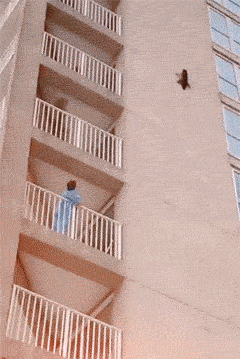 扫兴|搞笑GIF：看来钱包是真的能治病呀！