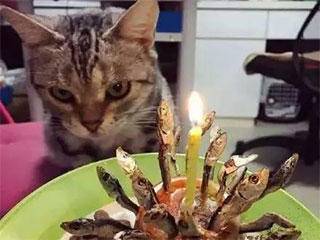 事实|事实证明，跳舞是不能减肥的！