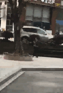 一样|搞笑GIF：不一样的舞姿，不一样的故事