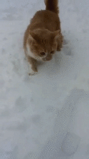 男子汉|搞笑GIF：男子汉坐在后面很丑的