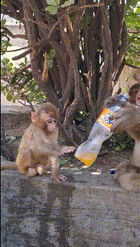 小孩子|搞笑GIF趣图:姑娘，柱子就这样断了，跳舞就不能换个地方吗？