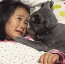 小伙伴|搞笑GIF：太无聊了！也没小伙伴，只能自己这样玩了！