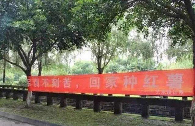 评论|学生军训老晕倒,多半是装的,打一顿就好