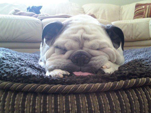 妹妹|欢笑集锦:年轻的时候也是这个味