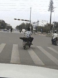 妹子|搞笑gif趣图：我在这扬了一天树叶了，是不是该考虑收费了