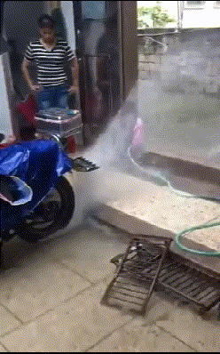 就是|第二张图太魔性了，我跟着这条狗子笑了起来！