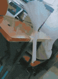 教官|搞笑GIF动图:我也不知道,我是巡考的?