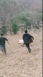 天气|GIF搞笑趣图: 天气太冷了,我只能躲在这里了