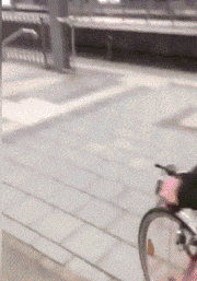 模样|去年种下的妹纸，到了今天终于要成熟了，模样还不错