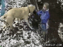 体型|随意变换体型的模特