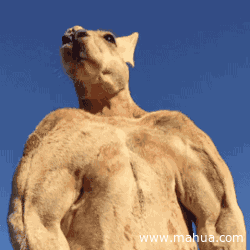 哥们|搞笑GIF：两位姑娘看上去关系不是很好，看眼睛就知道了