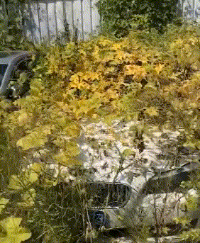 这是|这一波操作我给满分