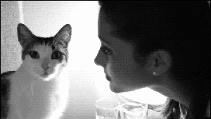 好好|搞笑GIF: 二货能不能好好走路?疼就对了,下次记住好好走