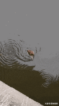 无处不在|搞笑GIF: 真正的友谊无处不在!