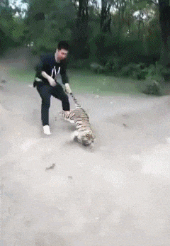 拉面|搞笑gif：又现抗日神剧！告诉我，你的子弹和演技是认真的吗？