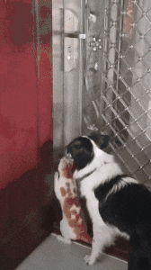 救生员|搞笑GIF：孩子你太天真了，广告都是假的