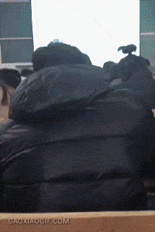 皮管|搞笑GIF: 事实证明, 有车不怕找不到女朋友