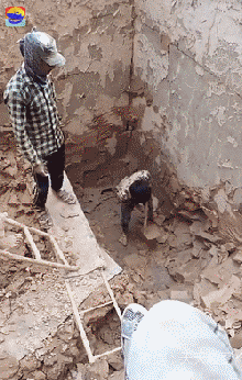 稀奇|搞笑GIF:①老外干活真稀奇: