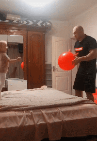 私房钱|搞笑GIF:火树