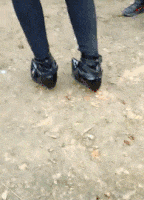 雨衣|搞笑GIF：哈哈