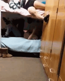 加菲猫|搞笑gif：加菲猫，你在偷看什么