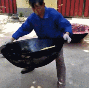 清流|搞笑GIF:网吧里的一股清流