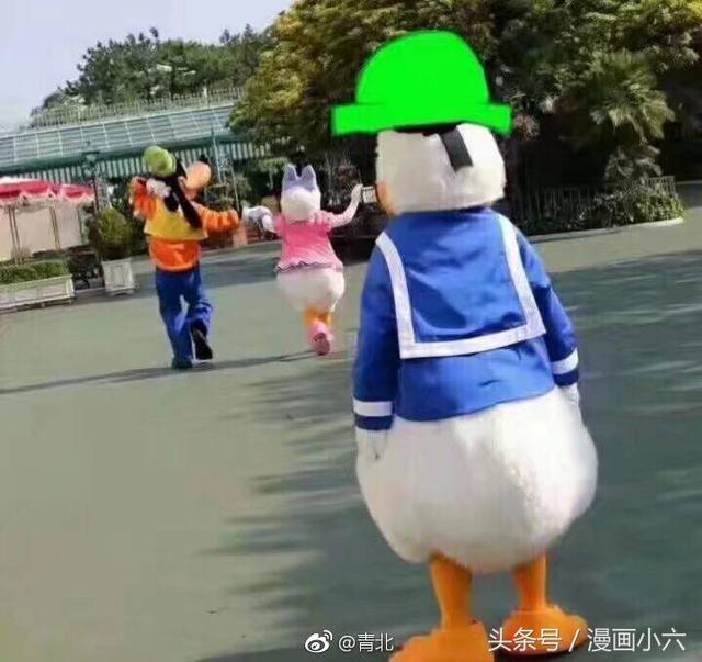 脑浆|说说让你笑得岔气的一张图片