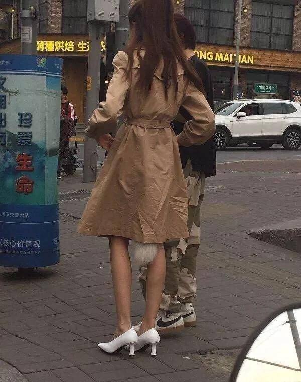 饲养员|搞笑GIF:猫咪:饲养员你也不管管呀,你家老虎非礼我