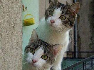 节奏|这颜色咋回事啊！？这是褪色了的节奏啊！