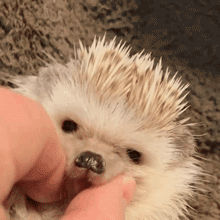 个人|哥们你开慢点！你没发觉后面掉下一个人吗？