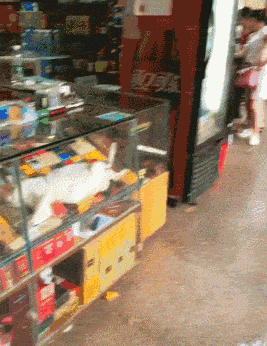 可嘉|搞笑GIF趣图:大爷，精神可嘉，以后还是玩点难度低的吧！