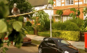 辣椒|搞笑GIF:看看我刚买的机器狗,哎呀!