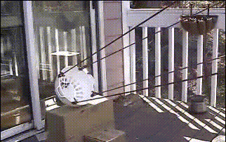 婚车|搞笑GIF：我已长发及腰，公子为何不来娶我呀！