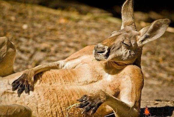 最近|最近朋友圈流行晒跑步健身!