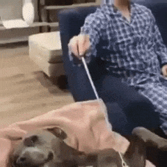 套路|搞笑GIF:新郎,赶紧对着我们笑一个