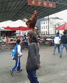 水桶|搞笑GIF: 这幼儿园有创意啊! 水桶车, 了解一下