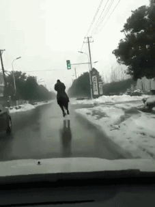 唐僧|搞笑GIF图:猴子,你是来尴舞的吗!唐僧在找你