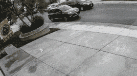 寸草不生|搞笑GIF: 真应那句话, 女司机路过真是寸草不生..