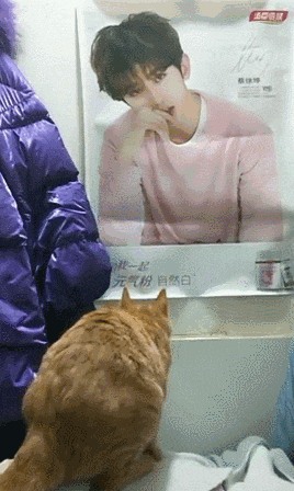 海报|搞笑GIF: 我就是不喜欢这张海报, 你不撕我就给你撕下来了!