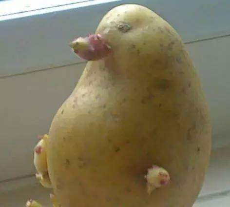 哥们|搞笑GIF：哥们，你能好好做个酒精检测吗？