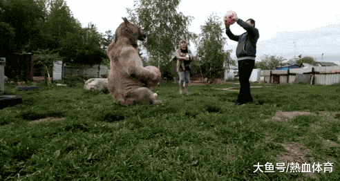 姑娘|内涵GIF:原来西瓜是真长在树上的啊