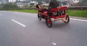 海草|搞笑GIF：爸爸，能给我吃点吗