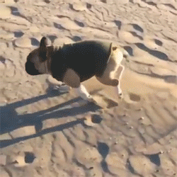 妹子|搞笑GIF:妹子,下次别调得这么快