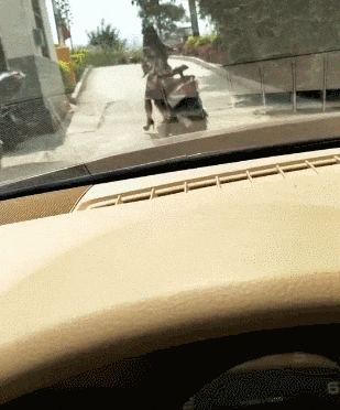 这是|搞笑GIF:这是什么神兽?