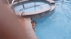 明天|爆笑GIF:真是帅呆了,明天再来