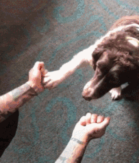 哥们|幽默gif: 儿子看到妈妈的照片后撅着嘴说: 那个胖女人果然不是我妈!