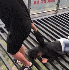 厉害|搞笑GIF:主人遛大狗,大狗遛小狗