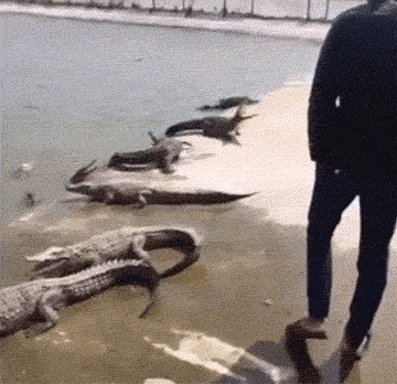 妹子|爆笑GIF趣图：妹子徒手劈砖头，难道她以前在少林寺练过铁砂掌？